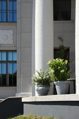 Round porch with white columns and flower pots. Floral decor on streets.