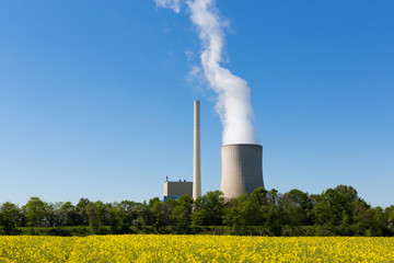 Kohlekraftwerk mit Kühlturm und Raps im Vordergrund