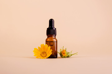 Dark cosmetic bottle of aromatic oil for herbal medicine with calendula flower on a beige backdrop with trendy shadows. Marigold extract. - obrazy, fototapety, plakaty