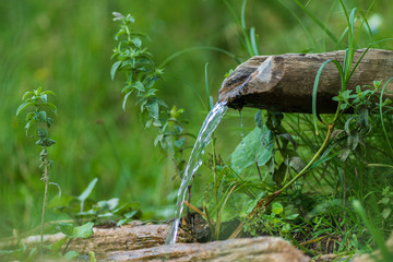 Close-up of a natural spring of clean water coming from the heart of the Carpathian mountains and flowing through a hollowed wooden jug surrounded by green and greasy grass in Rimetea, Romania.
