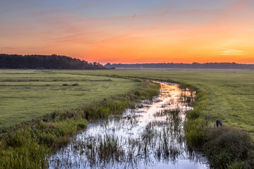 Sunset Landscape of lowland river