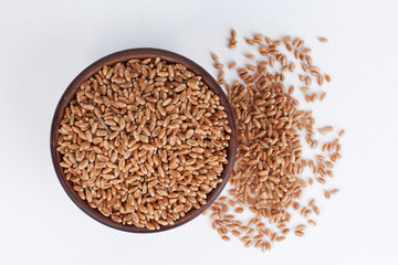 Wheat grains scattered from ceramic bowl isolated on white background. Top view, closeup, single object. Harvest, healthy food, ingredient concept