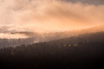 Magical landscape of a foggy morning, with the sun rising and spreading its rays over the pine, fir and spruce forest that rises in several layers towards the heart of the Apuseni Mountains in Romania
