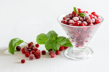 Ripe frozen cranberries, aromatic basil leaves in glass bowl and on the white table. Currant berry, alternative medicine.