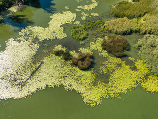 Green bank of the Dnieper river on a summer sunny day. Aerial drone view.