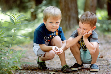 cute caucasian boys sitting on haunches. one is holding a frog in his hands