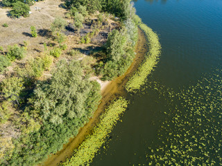 Green bank of the Dnieper river on a summer sunny day. Aerial drone view.