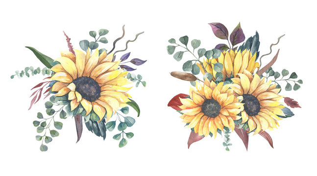 Watercolor hand painted floral sunflower bouquets.Watercolor floral illustration with sunflowers -  for wedding invite, stationary, greetings, wallpapers, background.