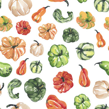 Watercolor hand painted seamless pattern with vegetables, pumpkins. Pumpkins seamless pattern on white background.