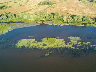 Green bank of the Dnieper river on a summer sunny day. Aerial drone view.