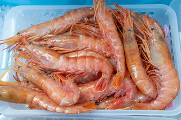 カゴに盛られた有頭エビ　Shrimps on the basket