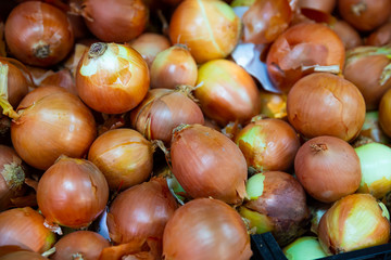 Obraz premium Image of boxes with onion for sale in supermarket, nobody
