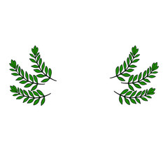 Green olive leaves isolated on white background. Cartoon style. Plant frame. Copy space. Organic leaf icon. Branch print logo. Agriculture symbol. Decorative elements.