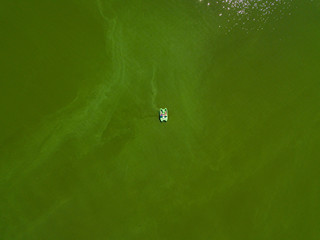 Aerial drone view. Boat on the green texture of blooming algae in the river.