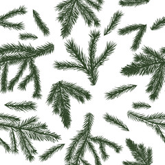 Fir twigs seamless background. seamless pattern . Spruce branches. Vector illustration