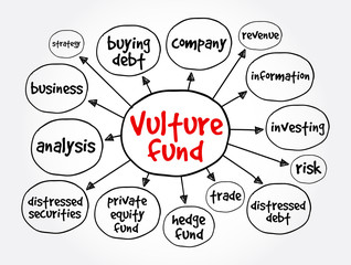 Vulture fund mind map, business concept for presentations and reports