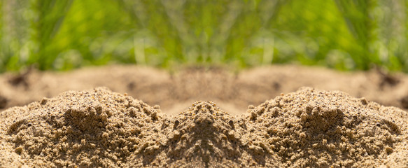 Pile of construction sand close-up on a green natural background. Banner, copy space