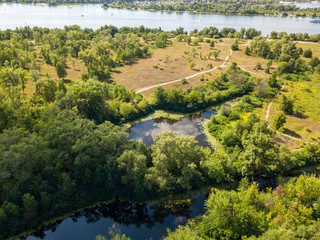 Aerial drone view. Green meadows with sparse trees on a summer day.