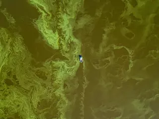 Fotobehang Kiev Fishing boat on green water, aerial drone view. Algae bloom in the river, green pattern on the water.