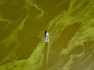 Fishing boat on green water, aerial drone view. Algae bloom in the river, green pattern on the...