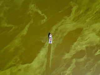 Fishing boat on green water, aerial drone view. Algae bloom in the river, green pattern on the...