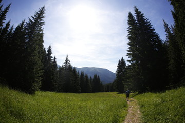 Fototapeta premium Tatra mountains in Summer