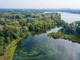 Aerial drone view. Green bank of the Dnieper river on a summer sunny day.