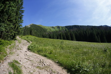 Western Tatra Mountains in the summer