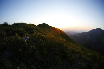 Evening golden hour in Tatra Mountains