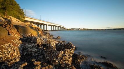 Obraz premium bridge over the river