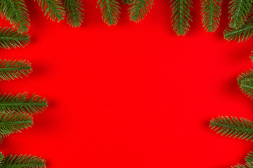 Fototapeta na wymiar Top view of frame made of fir tree on colorful background with copy space. Merry Christmas concept