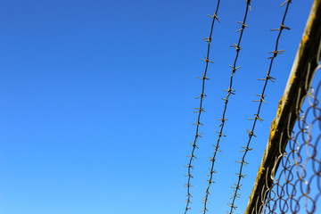barbed wireguard, abstract, nature, green, color, illustration, texture, industry, pattern, iron,...