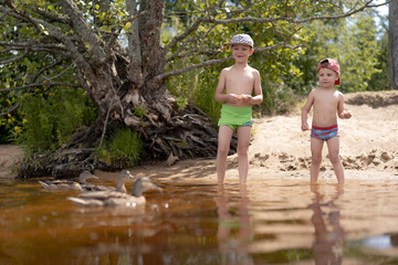 two cut little caucasian boys feeding ducks with bread on the lake, standing in the water, undressed wearing caps and trunks