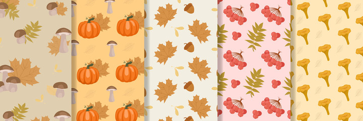 Collection of autumn pattern with doodle leaves