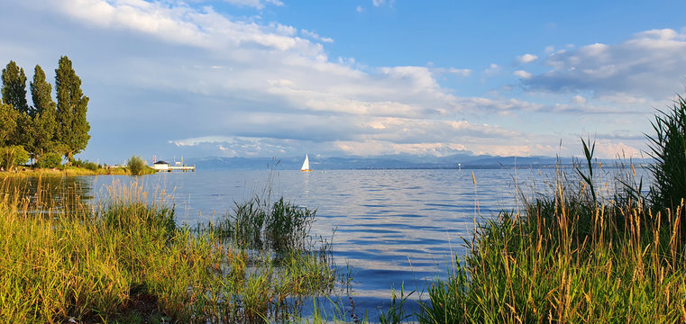Lake of Constance, Immenstaad Germany July 2020 in the evening view of the lake and the mountains with reeds, pier and sailing boat on the lake in beautiful weather with blue sky