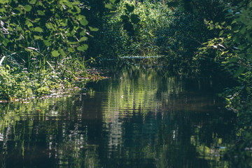 reflection in water