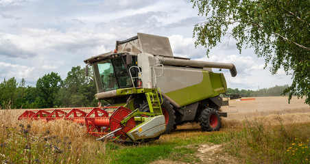 Modern harvester at work in field during wheat harvesting season on sunny day. Reaping machines harvest grain crops against the backdrop of forest and sky. Side view close up. Banner for web site