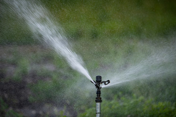 Sprinker irrigation system spraying water on field - close up