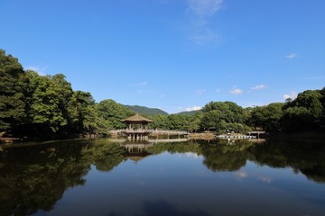 Obraz premium 夏の奈良公園