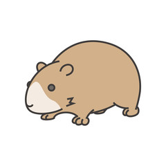 モルモット