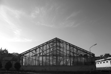 Obraz premium Big old greenhouse on sunset. In black and white