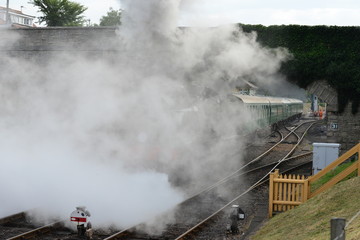 Fototapeta na wymiar A U class locomotive pulling a steam train under a road bridge.