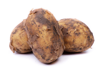 Group of new potatoes with soil