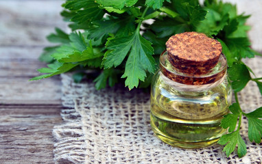 Parsley essential oil in a glass bottle and fresh parsley herb bunch on old wooden table.Petroselinum crispum extract.Healthy food,herbal medicine or naturopathy concept.Select