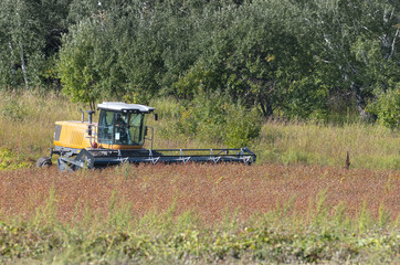 Fototapeta premium farm cleaning in the field