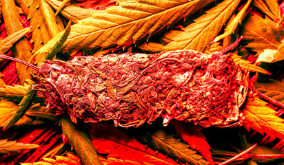 close up of dry pressed cannabis leaves.