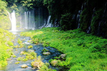 Fototapeta na wymiar 富士山の夏　天下の名瀑　白糸の滝　絹のような水流