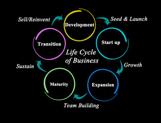 Five stages of Life Cycle of Business.