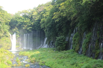 富士山の夏　天下の名瀑　白糸の滝　絹のような水流