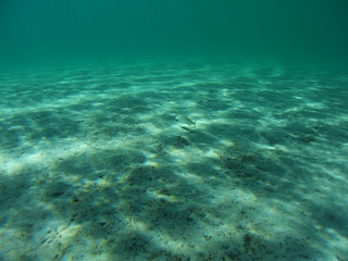 Sott'acqua nel mare